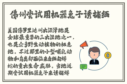 特殊游乐园hgl